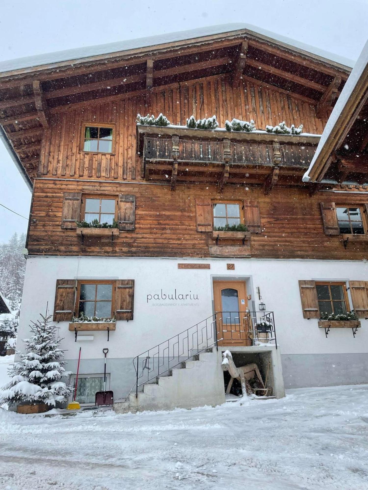 BodenBergbauernhof Pabulariu别墅 外观 照片