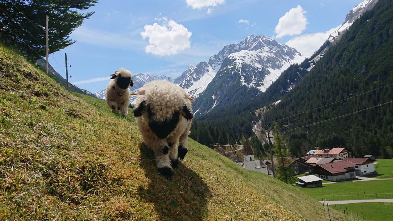 BodenBergbauernhof Pabulariu别墅 外观 照片