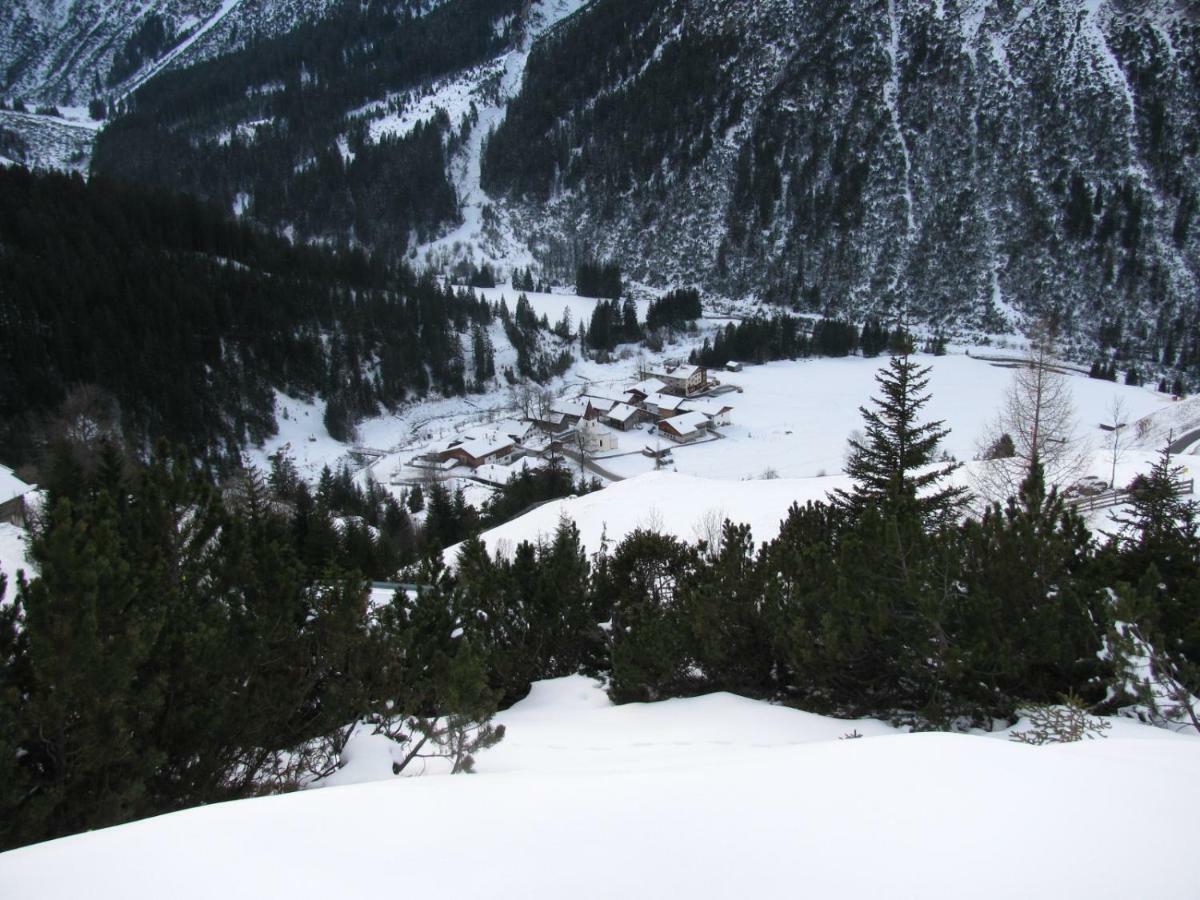 BodenBergbauernhof Pabulariu别墅 外观 照片