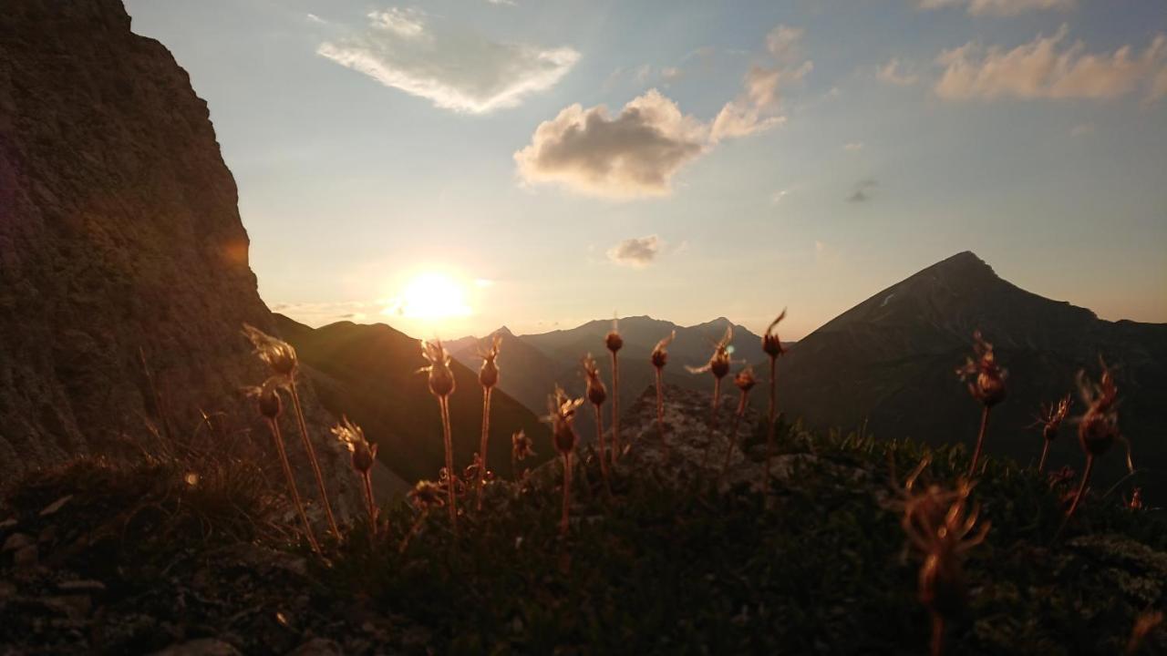BodenBergbauernhof Pabulariu别墅 外观 照片